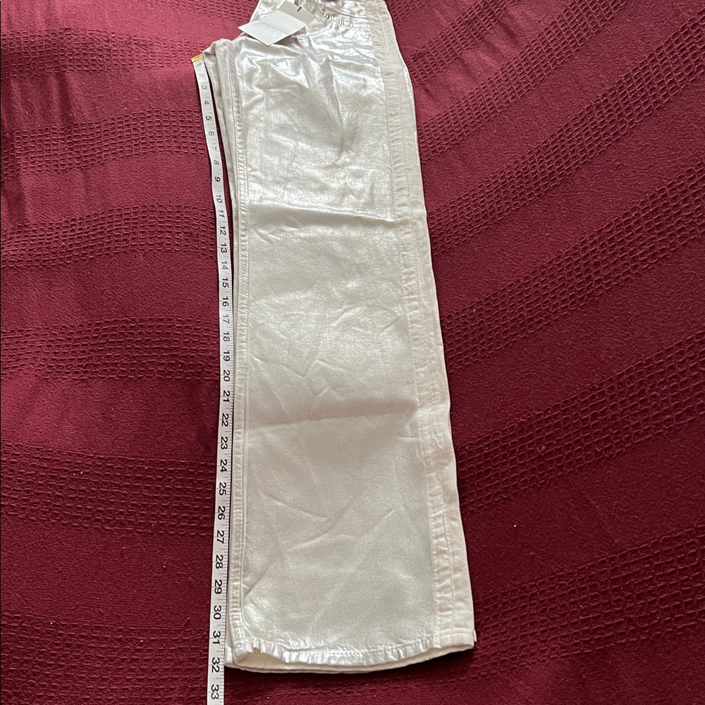 Zara Silver Washed Pants - Picture 7 of 7